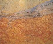Vincent Van Gogh Wheat Field behind Saint-Paul Hospital with a Reaper (nn04) Spain oil painting reproduction